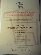 shades of blues - SKY PERPETUE LA TRADITION