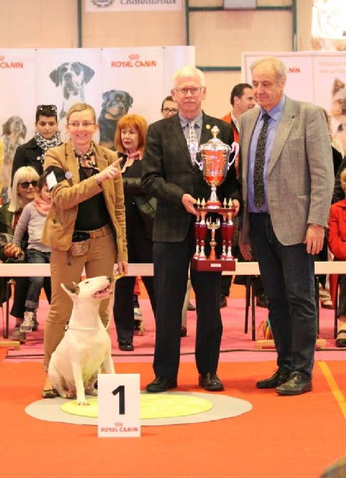 shades of blues - BEST IN SHOW POUR ZOUZOU