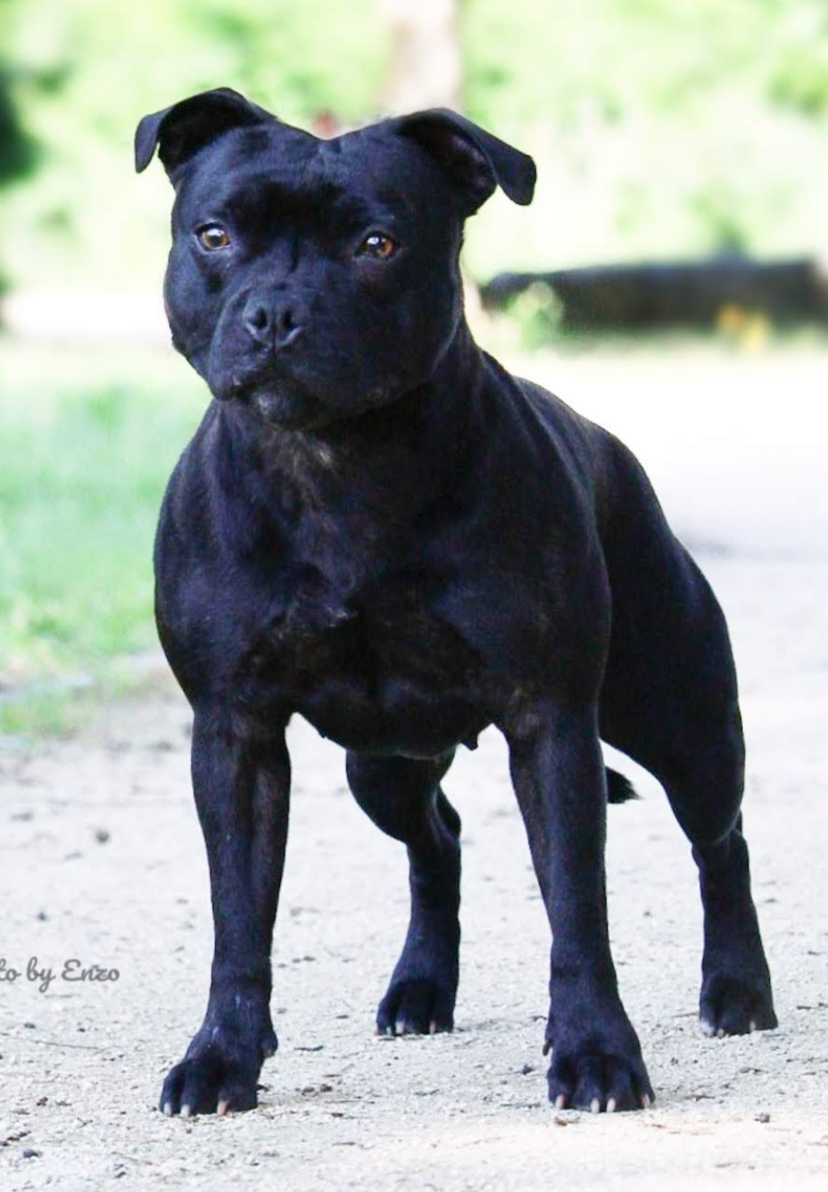 shades of blues Neverending story