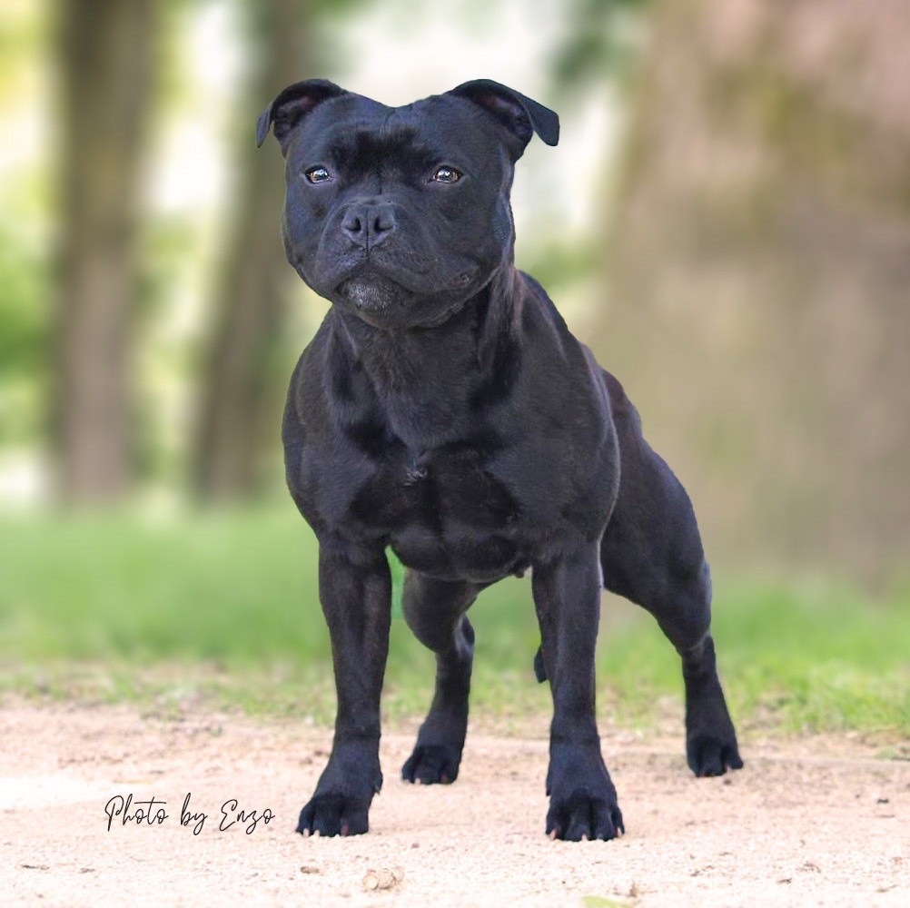 shades of blues Neverending story