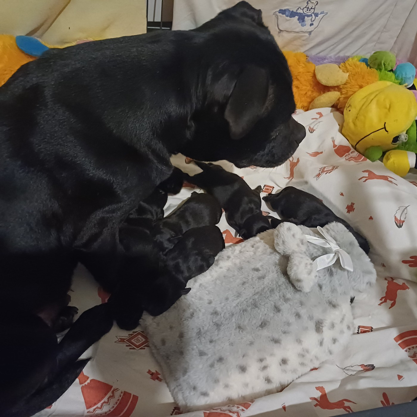 La nouvelle génération est arrivée !!